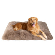 EHEYCIGA face avant du coussin camel, confort visuel apaisant