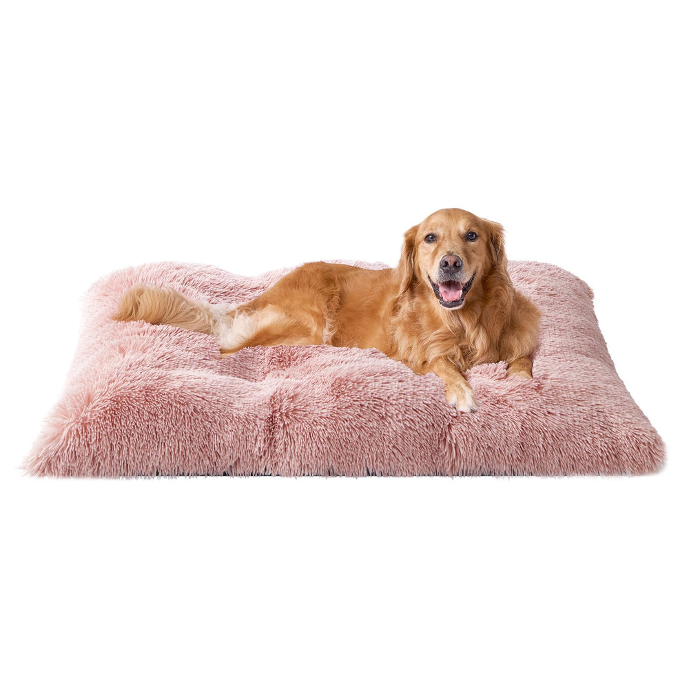 EHEYCIGA lit avant rose montrant confort et style