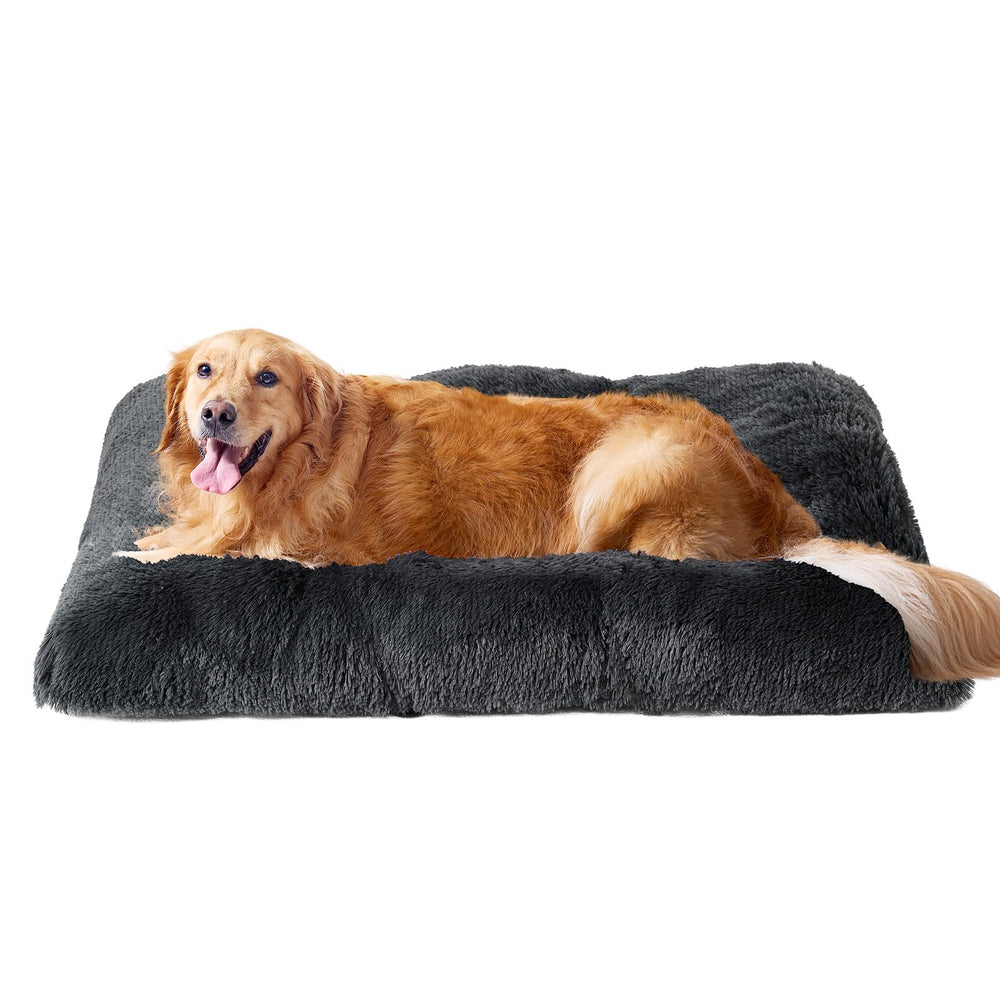 EHEYCIGA lit chien face avant montrant confort et élégance
