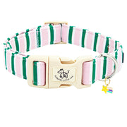 Elegant little tail collier face avant montrant motif rose et bande verte, élégant et visible