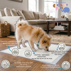 Elephant Pads gros plan sur les six couches offrant absorption et barrière étanche