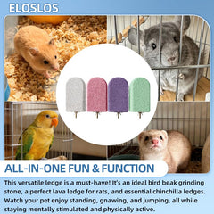 Eloslos assortiment couleurs gris rose violet vert pour varier cage