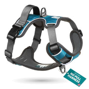Embark harnais face avant montrant point d'attache frontal et confort