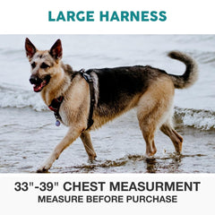 Embark harnais gros plan sur boucle robuste garantissant sécurité et longévité