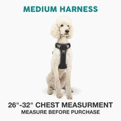 Embark Pets harnais détail réfléchissant améliorant la visibilité nocturne pour la sécurité