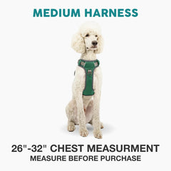 Embark Pets harnais vue dos avec clips renforcés garantissant sécurité fiable