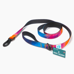 Embark Pets laisse vue avant montrant design et robustesse