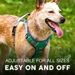 Embark Pets poignée en gel sur harnais pour prise ferme et contrôle doux
