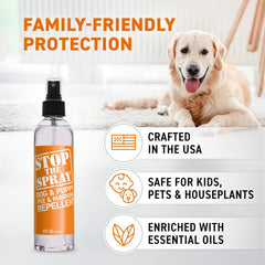 Emmy's Best application Stop the Spray sur tapis pour neutraliser odeurs et marquages