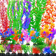 EMYSSA ensemble 25 plantes frontales montrant variété et couleurs vives