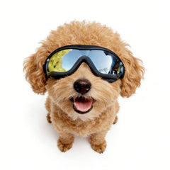 Enjoying vue avant des lunettes sur monture, protection et maintien confortable