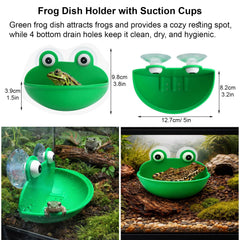 Enochainchin gros plan du cache imitation bois, refuge sûr pour grenouille