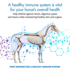 Equa Holistics cuillère doseuse HealthyGut pour dosage facile et précis