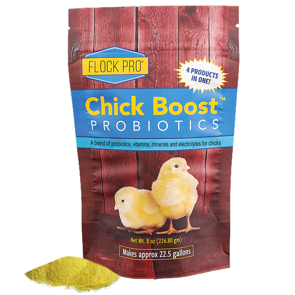 Emballage Equerry's Flock PRO Chick Boost 8oz montrant le format pratique et l'identité de la marque