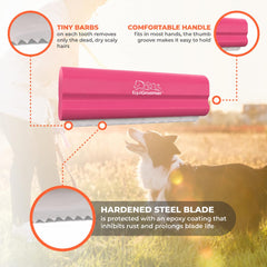 EquiGroomer brosse en usage sur chat, calme et pelage lisse