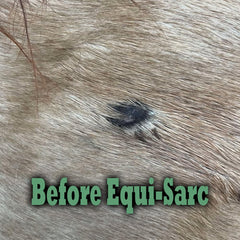 Equine Veterinary Essentials pot ouvert montrant texture crème facile à étaler