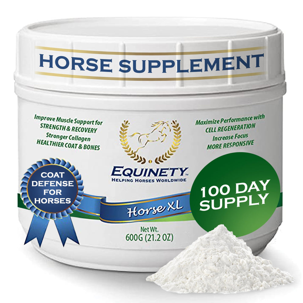 Equinety Horse XL emballage face montrant durée 100 jours et bénéfice récupération