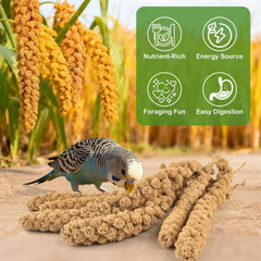 ERKOON spray de millet accroché dans la cage pour forager et divertir la perruche