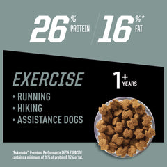 Eukanuba gros plan croquette montrant texture et appétence