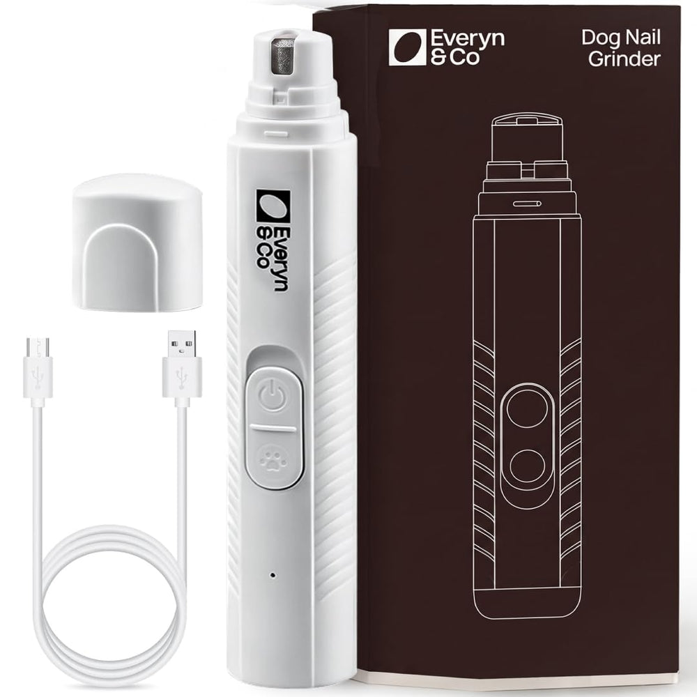 Everyn & Co face de l'appareil montrant design compact et prise en main sécurisée