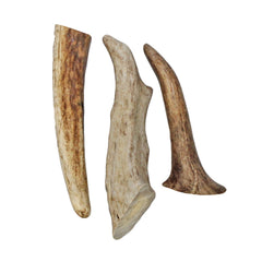 Exotic Nutrition pointe d'antler dans cage de chinchilla, stimule activité