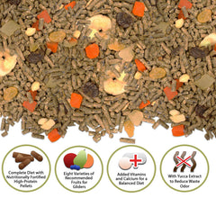 Exotic Nutrition morceaux de fruits séchés en détail offrant diversité et appétence