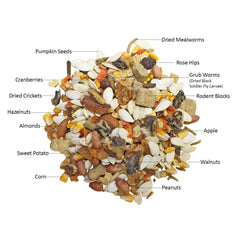 Exotic Nutrition gros plan du mélange principal montrant texture nutritive