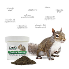 Exotic Nutrition gros plan granules indiquant levure vivante pour santé intestinale