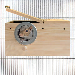 Exotic Nutrition Squirrel Complete food paquet, alimentation équilibrée pratique