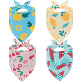 EXPAWLORER packaging du pack de 4 bandanas montrant motifs et couleurs pour choix facile