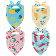 EXPAWLORER packaging du pack de 4 bandanas montrant motifs et couleurs pour choix facile