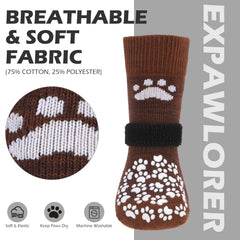 EXPAWLORER chaussette en action lors d'une promenade protectrice