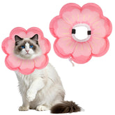 EXPAWLORER collier face avant rose montrant protection confortable