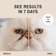 Eye Envy application au doigt sur chien pour assécher zone oculaire