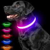 Ezierfy collier lumineux vue avant pour meilleure visibilité nocturne