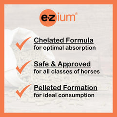EZium sac à côté d’un cheval pour comparaison d’échelle et praticité