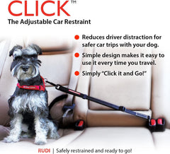 EzyDog Click fixé à un harnais, chien assis confortablement pour sécurité
