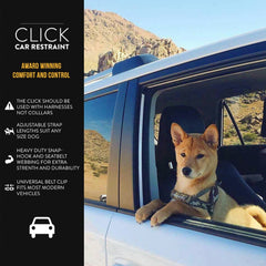 EzyDog Click gros plan du mousqueton pivotant assurant une fixation sûre