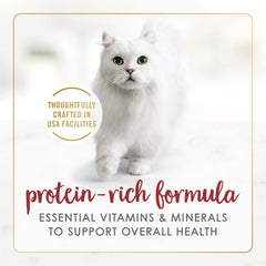 Fancy Feast portion servie dans une gamelle pour montrer la présentation du repas
