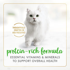Fancy Feast conserve ouverte révélant pâté humide appétissant