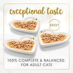 Fancy Feast gros plan sur la texture des bouchées en gravy pour appétit stimulé
