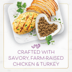 Fancy Feast Purina bol rempli de croquettes pour un repas complet