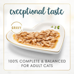 Fancy Feast Purina gros plan des morceaux de dinde apportant texture appétissante