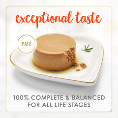 Fancy Feast gros plan de la pâté révélant texture onctueuse et appétit