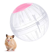 FANKUTOYS boule transparente frontale montrant visibilité et sécurité