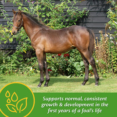 Mains d'éleveur tenant pellets Farnam Grow Colt pour distribution simple