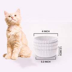 Fatty Bee utilisation avec chat mangeant, praticité et propreté accrue