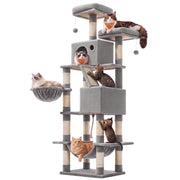 FEANDREA arbre à chat vue d'ensemble montrant hauteur et multiples niveaux