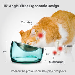 Felli chat mange confortablement, réduction de la fatigue des moustaches