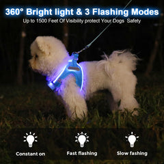 feycig harnais gros plan maille respirante pour confort